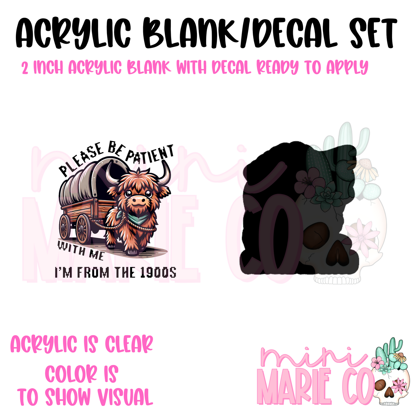 Please Be Patient I'm From the 1900s Acrylic Blank/Decal Set