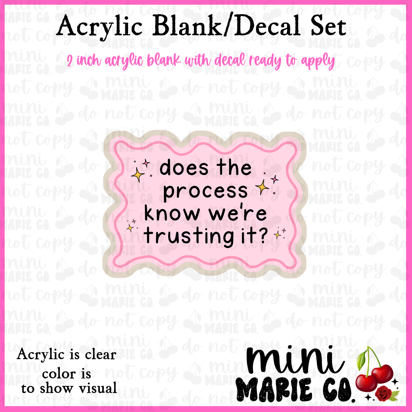 Does The Process Know Were Trusting It? Acrylic Blank/Decal Set