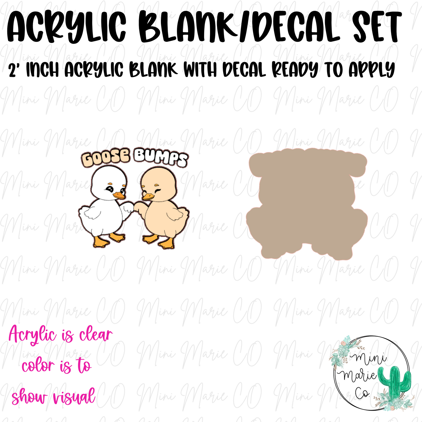 Goose Bumps Acrylic Blank/Decal Set