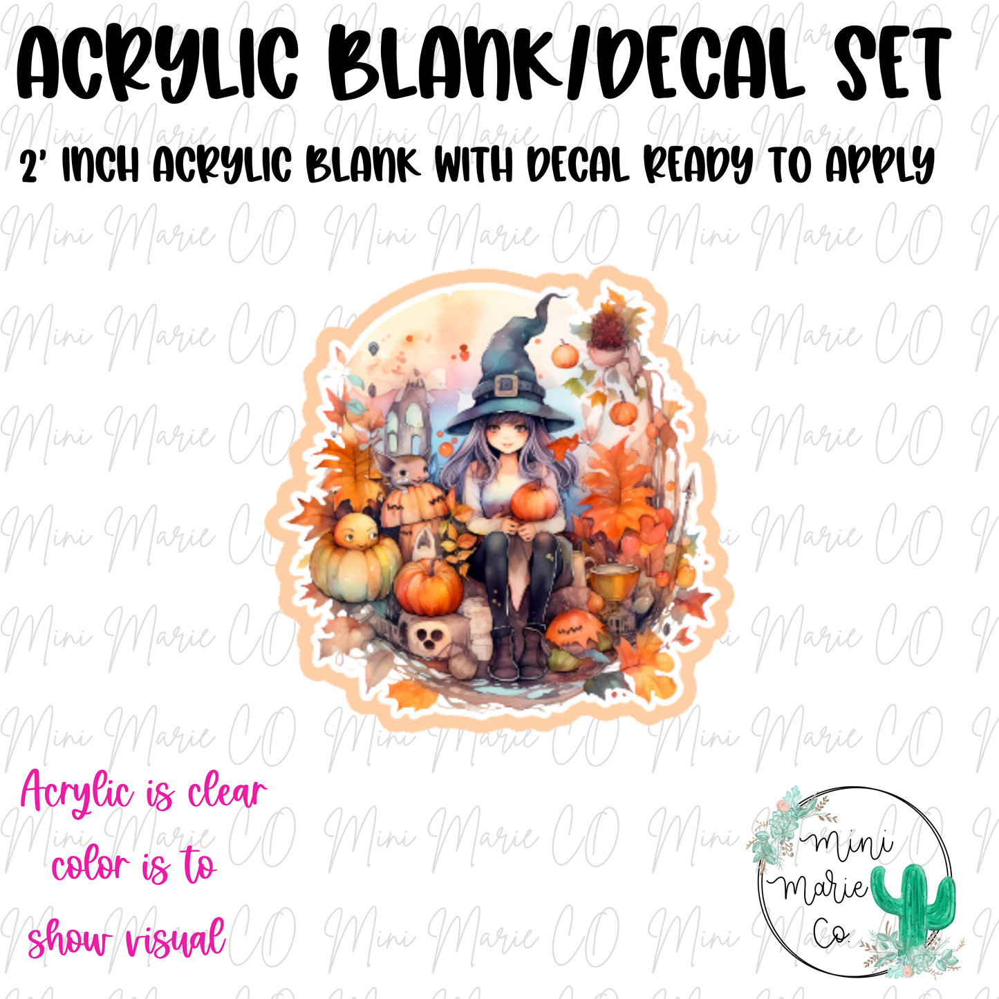 Witch Girl Acrylic Blank/Decal Set