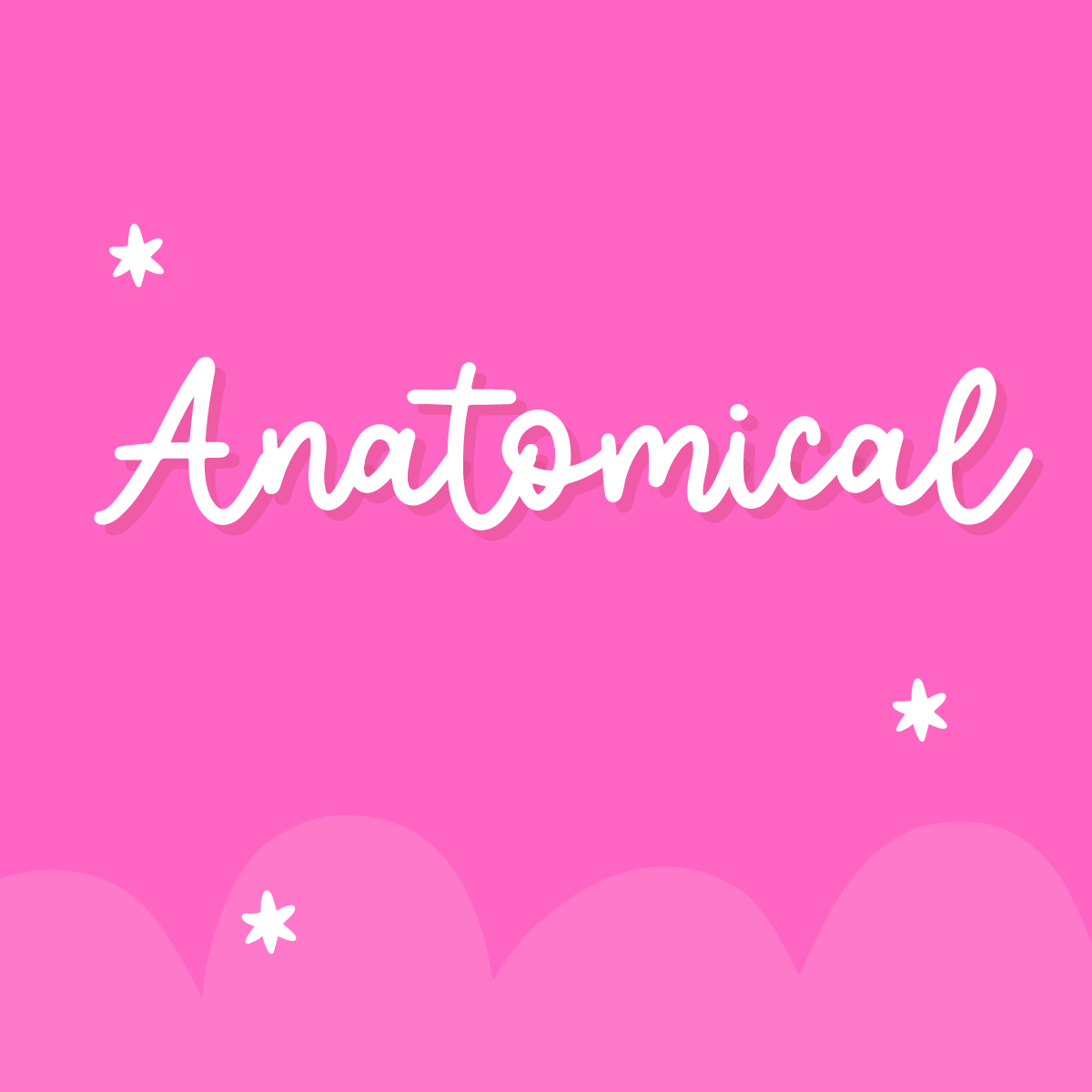 anatomical-mini-marie-co