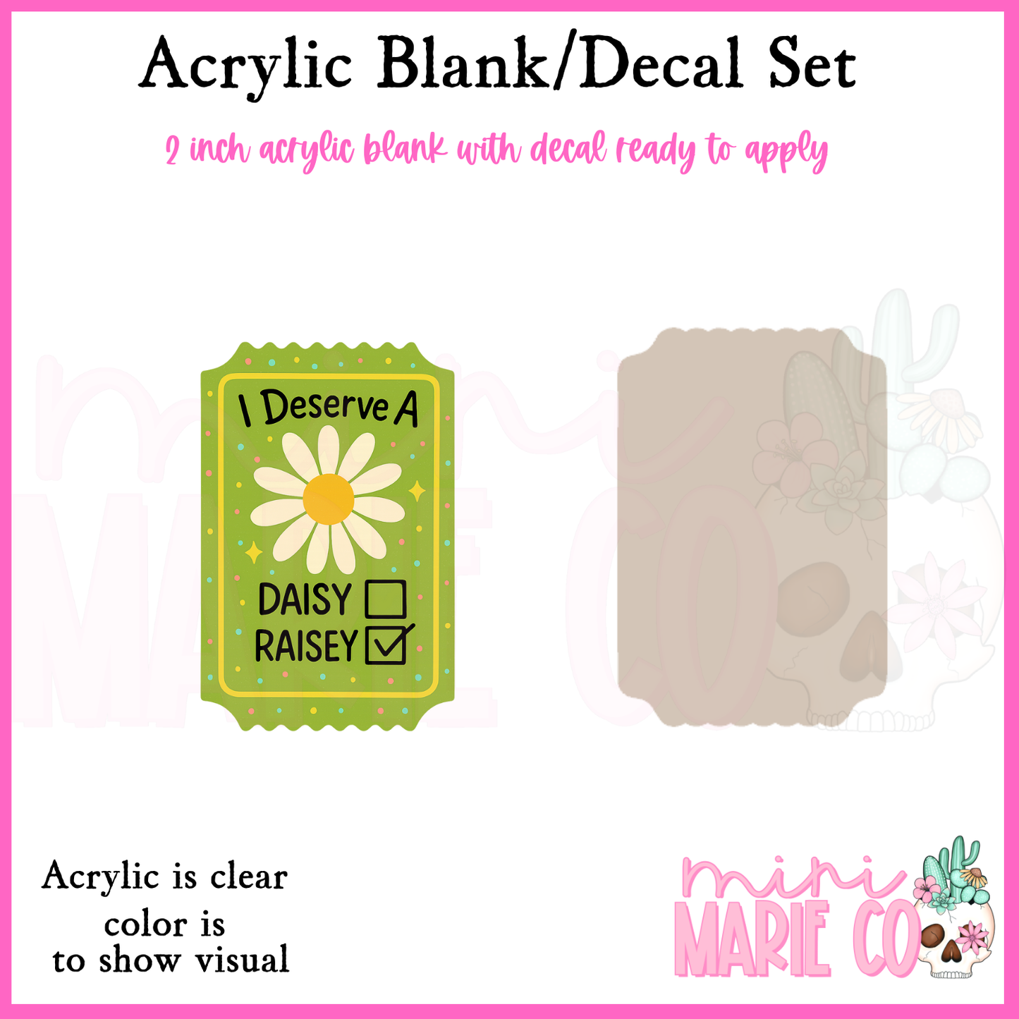 I Deserve a Rasiey Acrylic Blank/Decal Set