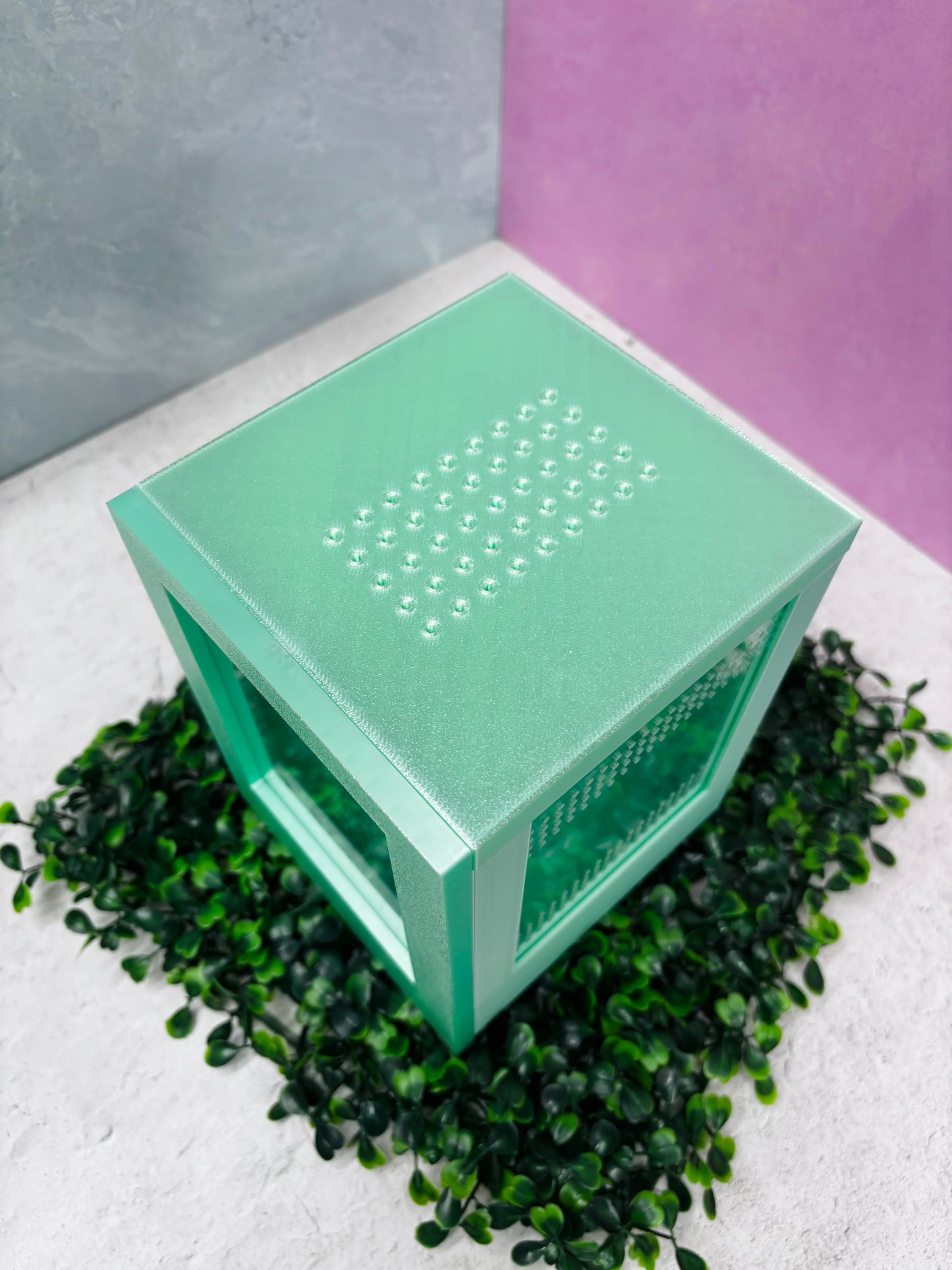 Mini Jumping Spider Enclosure- Front-Open Ventilated Spider House Terrarium