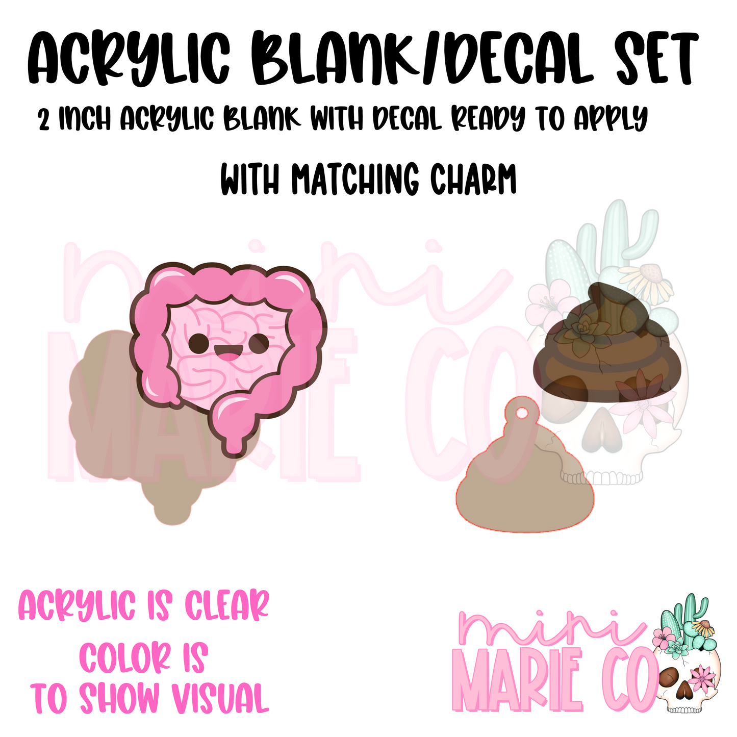 Inestines with Poop Charm Acrylic Blank/Decal Set