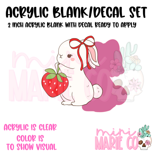 Bunny With Strawberry Acrylic Blank/Decal Set
