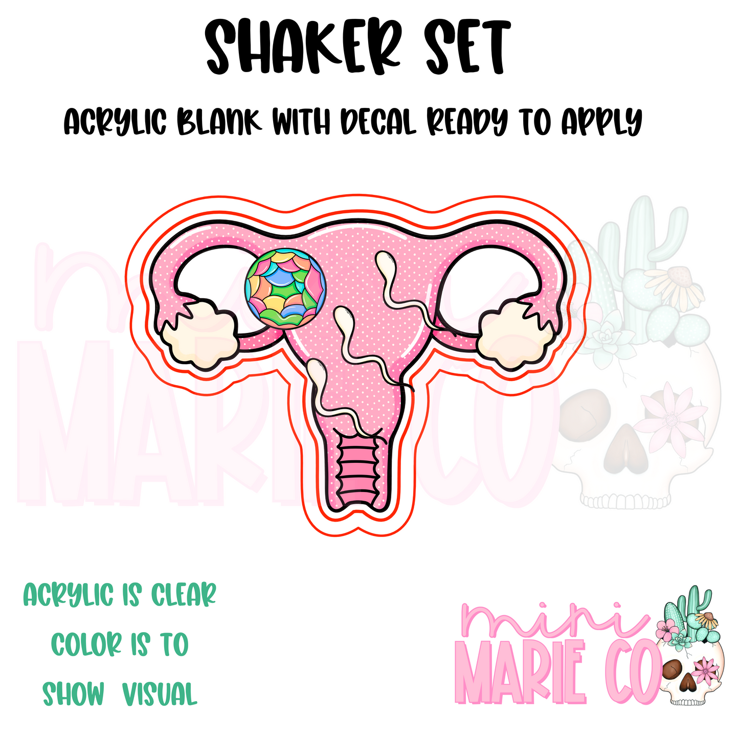 Uterus Shaker Set