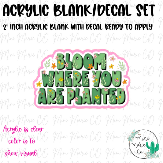 Bloom Where You Are Planted Acrylic Blank/Decal Set