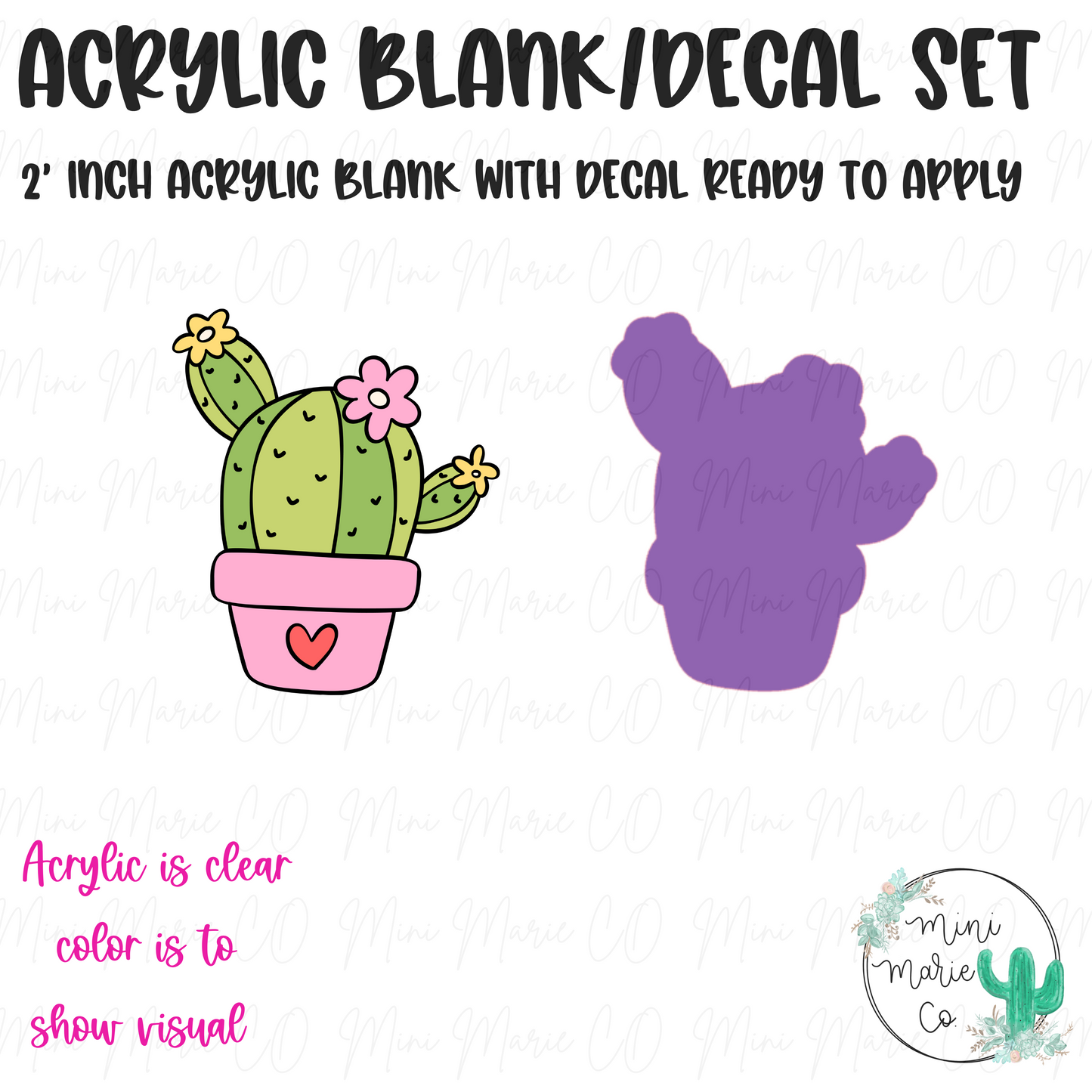 Cactus Acrylic Blank/Decal Set