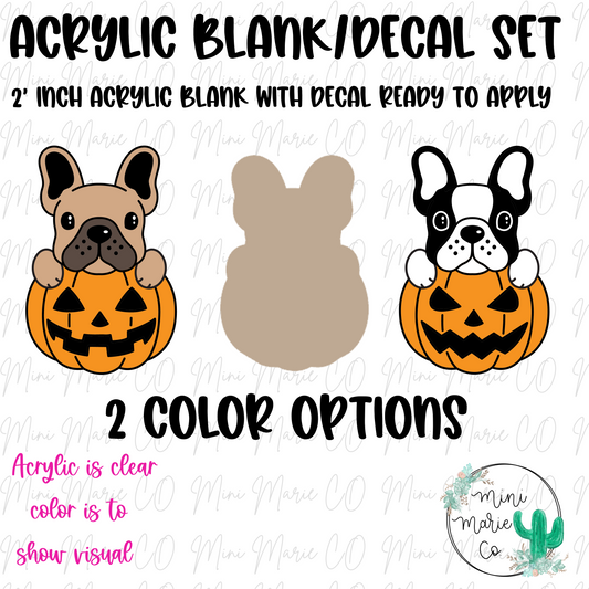 Frenchie Pumpkin Acrylic Blank/Decal Set